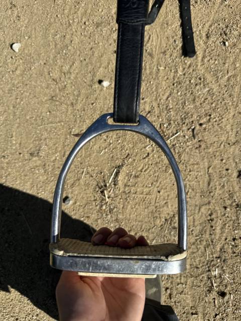 Dressage platinium Time rider 16,5 pouces noir