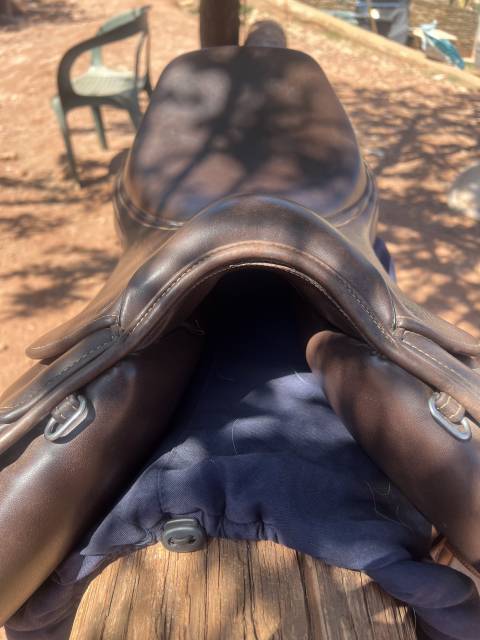 Selle ikonik taille 16'5 havane