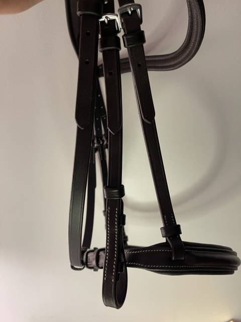 Filet anatomique neuf taille cheval marron 