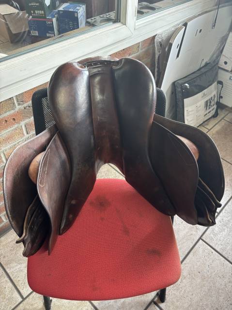 Selle altair / antares 16,5 pouces 