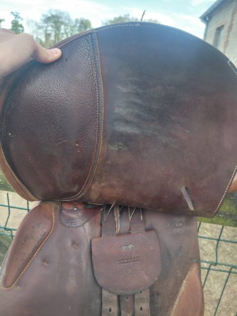 selle antares taille 17 pouces    Quartier 2A  De 2017