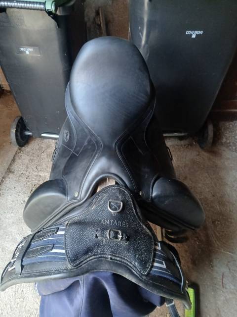 Selle de dressage Antares 