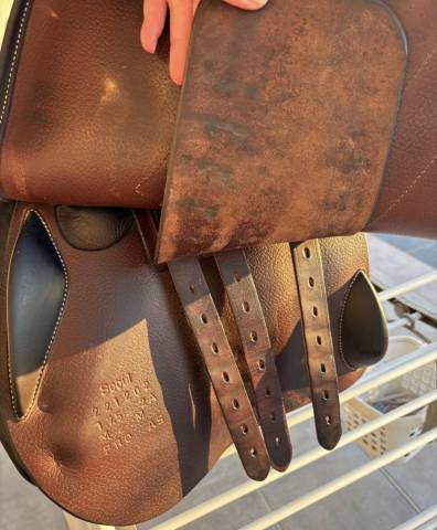 Selle S&eacute;oul Forestier 17,5 Marron 