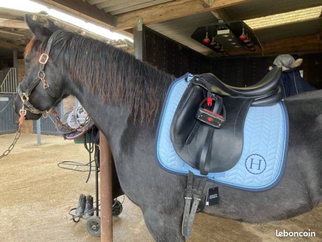 Selle de dressage Childeric DHE 17,5 