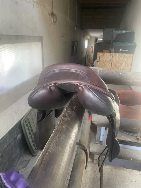 Selle Cavaletti monoquartier jump