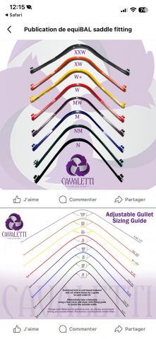 Selle Cavaletti monoquartier jump