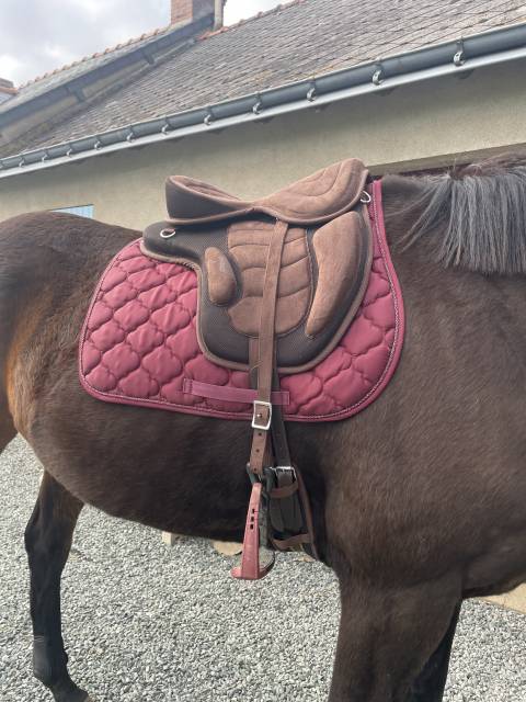 Selle sans ar&ccedil;on