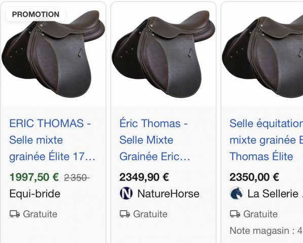 Selle mixte Eric Thomas &eacute;lite taille 17 pouces 