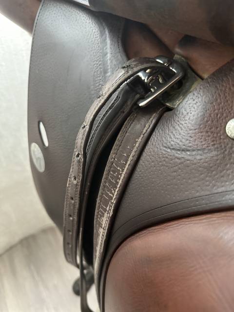 Selle Meyer Obstacle