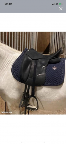 Selle dressage Isabell Werth