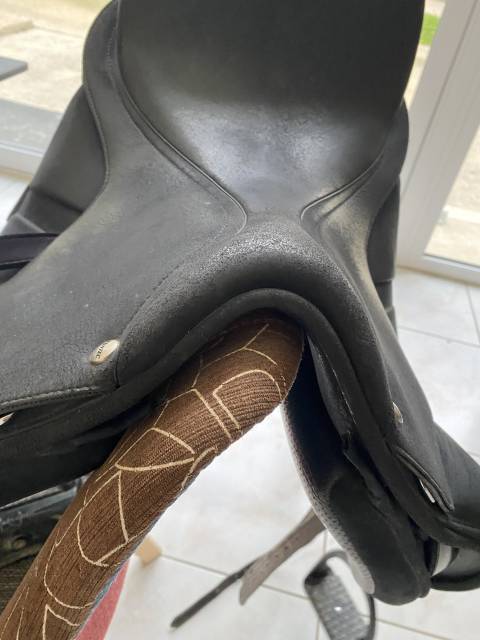 Selle dressage Isabell Werth