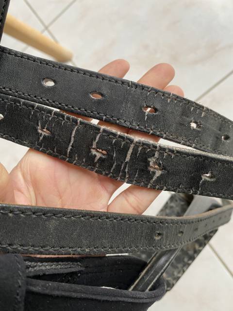 Selle dressage Isabell Werth