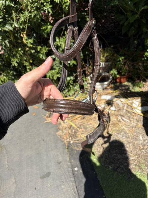 Filet anatomique HKM 