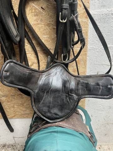 Selle Forestier Boekelo