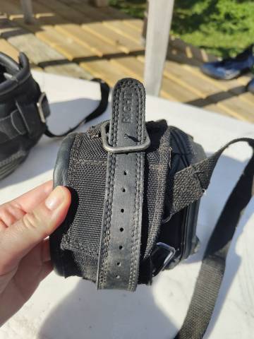 Hippodandales Old Mac's G2 T03