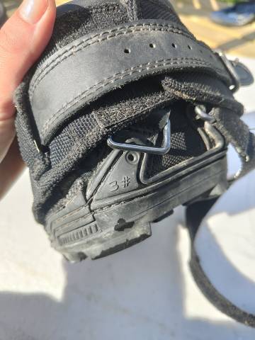 Hippodandales Old Mac's G2 T03