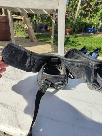 Hippodandales Old Mac's G2 T03