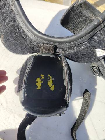 Hippodandales Old Mac's G2 T03