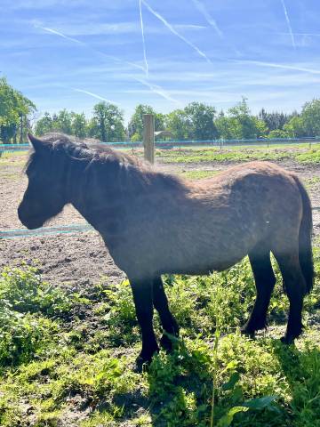 Nignonne OC Tr&egrave;s gentille et bien mintee