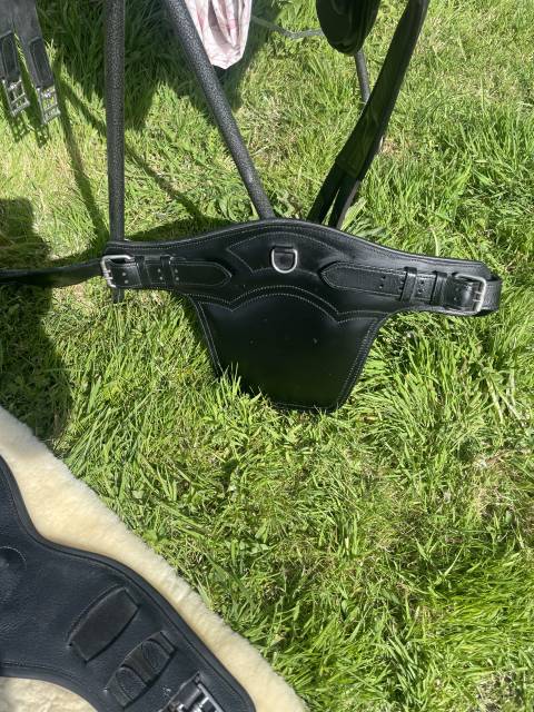 Selle d obstacles &Eacute;QUIPE. 17.5.  Tr&egrave;s bon &eacute;tat 