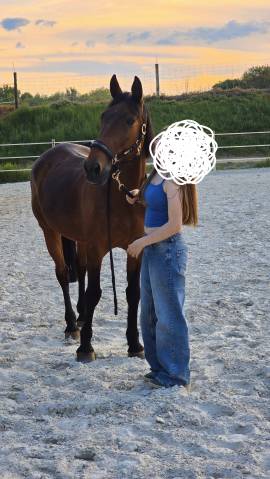 Demi pension Villers le Bouillet (Fize-Fontaine)