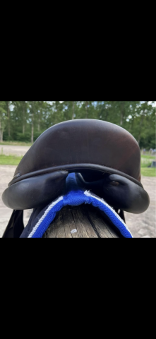 Selle rebelle R10 en 17,5