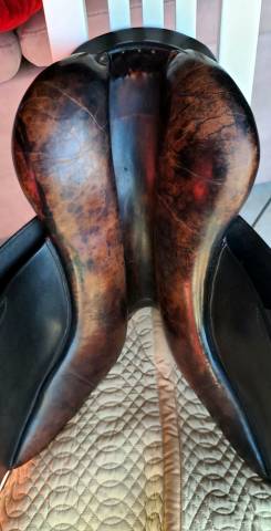 Selle Forestier Ilium 16,5" noire