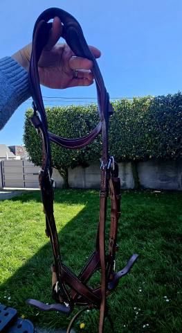 Bridon CWD Flexmotion avec r&ecirc;nes biothane CWD