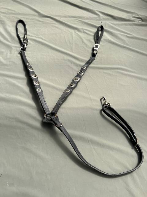 Collier de chasse &eacute;quitation  Cuir noir &eacute;toile en m&eacute;tal