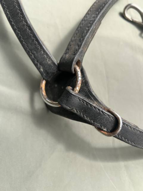 Collier de chasse &eacute;quitation  Cuir noir &eacute;toile en m&eacute;tal