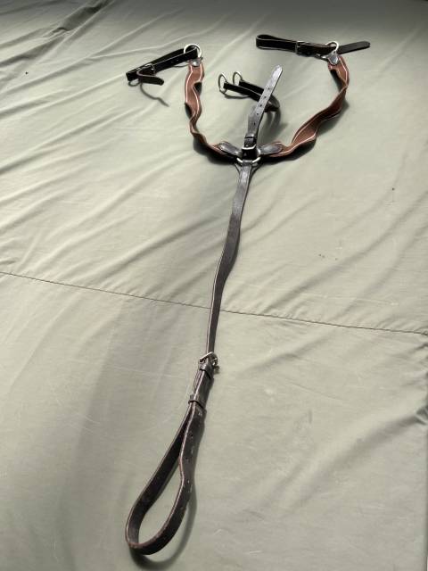 Collier de chasse &eacute;quitation  Cuir marron &eacute;lastique mar