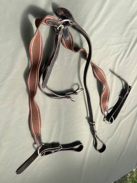 Collier de chasse &eacute;quitation  Cuir marron &eacute;lastique mar