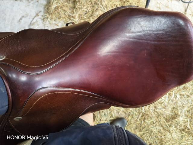 enssemble complet CWD SE02 (2018)17" sangle+Etrivieres