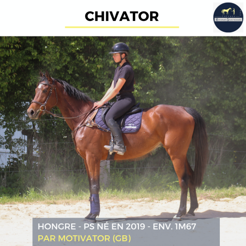 CHIVATOR - PS - 7 ANS