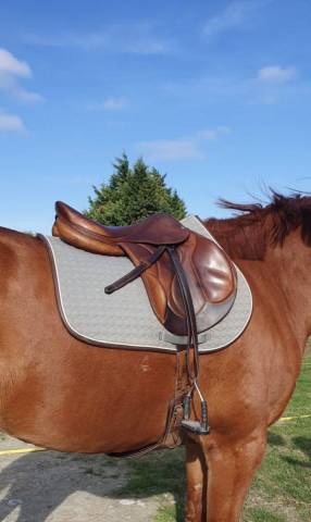 Selle Devoucoux Chiberta 17 pouces 2020