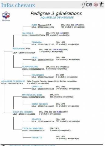 Jument poulini&egrave;re 