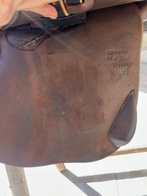 Selle &Eacute;ric Thomas &Eacute;lite 17,5 sous garantie 
