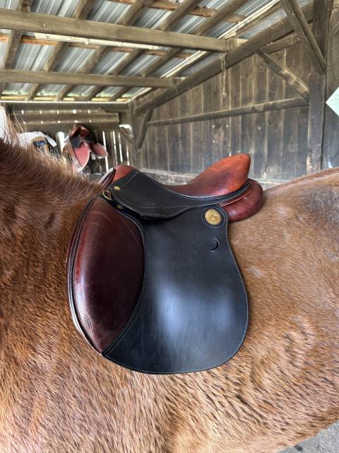 Selle 16,5 Pouces Jean-Luc Maurel