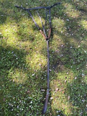 Collier de chasse avec martingales 