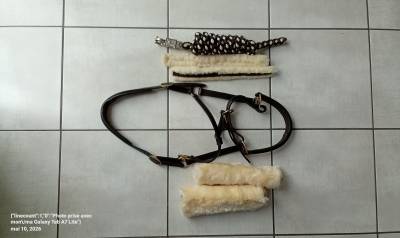 Lot licol en cuir 