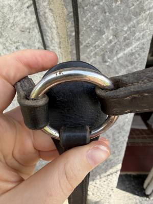 Collier de chasse