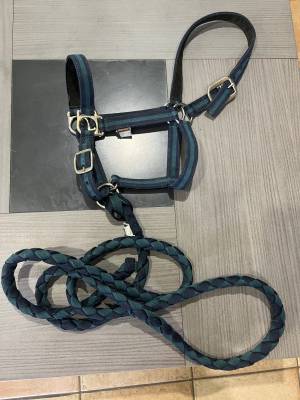 Licol avec longue géologic bleu vert taille petit cheva
