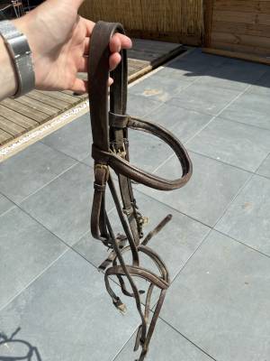 Filet taille cheval cuir marron 