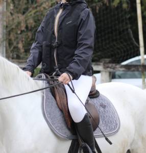 tapis kentucky 