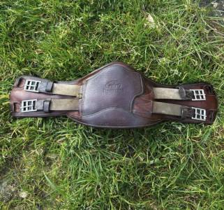 Sangle de dressage