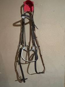 Filet équitation complet cuir mors inox