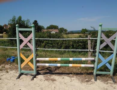À vendre 4 obstacles synthétiques 
