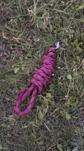 Longe fouganza Bordeaux