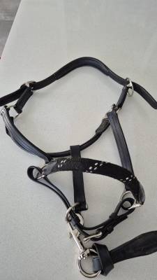Licol corde et cuir