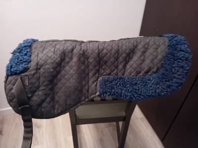 Amortisseur de dos - mouton véritable